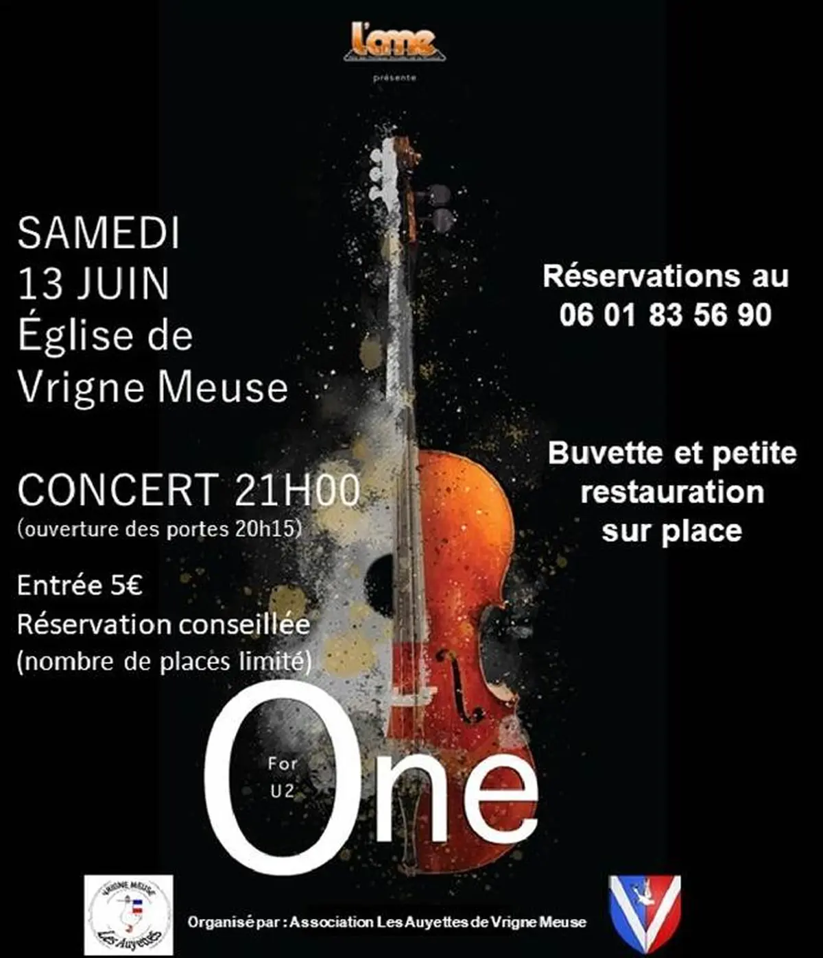 Concert : One for U2