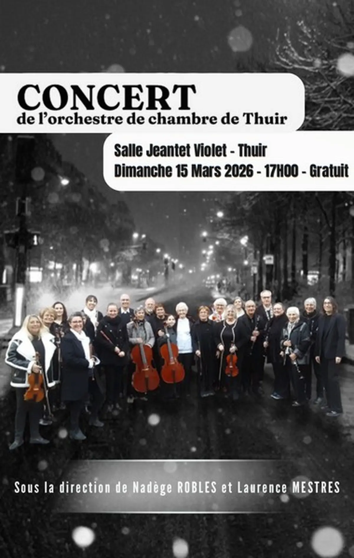 Concert Orchestre De Chambre