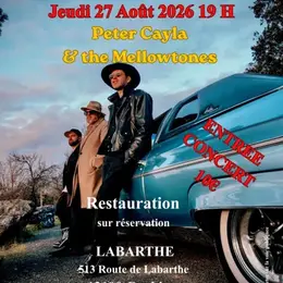 Concert - Peter Cayla & Les Mellowtones à Labarthe