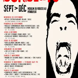 Concert punk-rock - Rosalie Cunningham et Flying Donuts Reactivated
