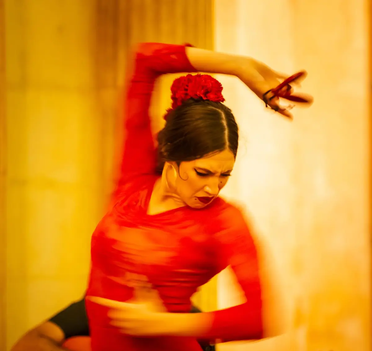 Concert Quand le Flamenco rencontre le violon Tzigane