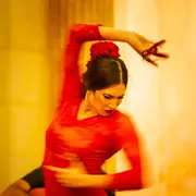 Concert Quand le Flamenco rencontre le violon Tzigane