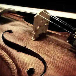 Concert Quatuor cordes au château de Théron