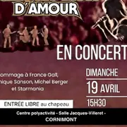 Concert - Quelques mots d'amour