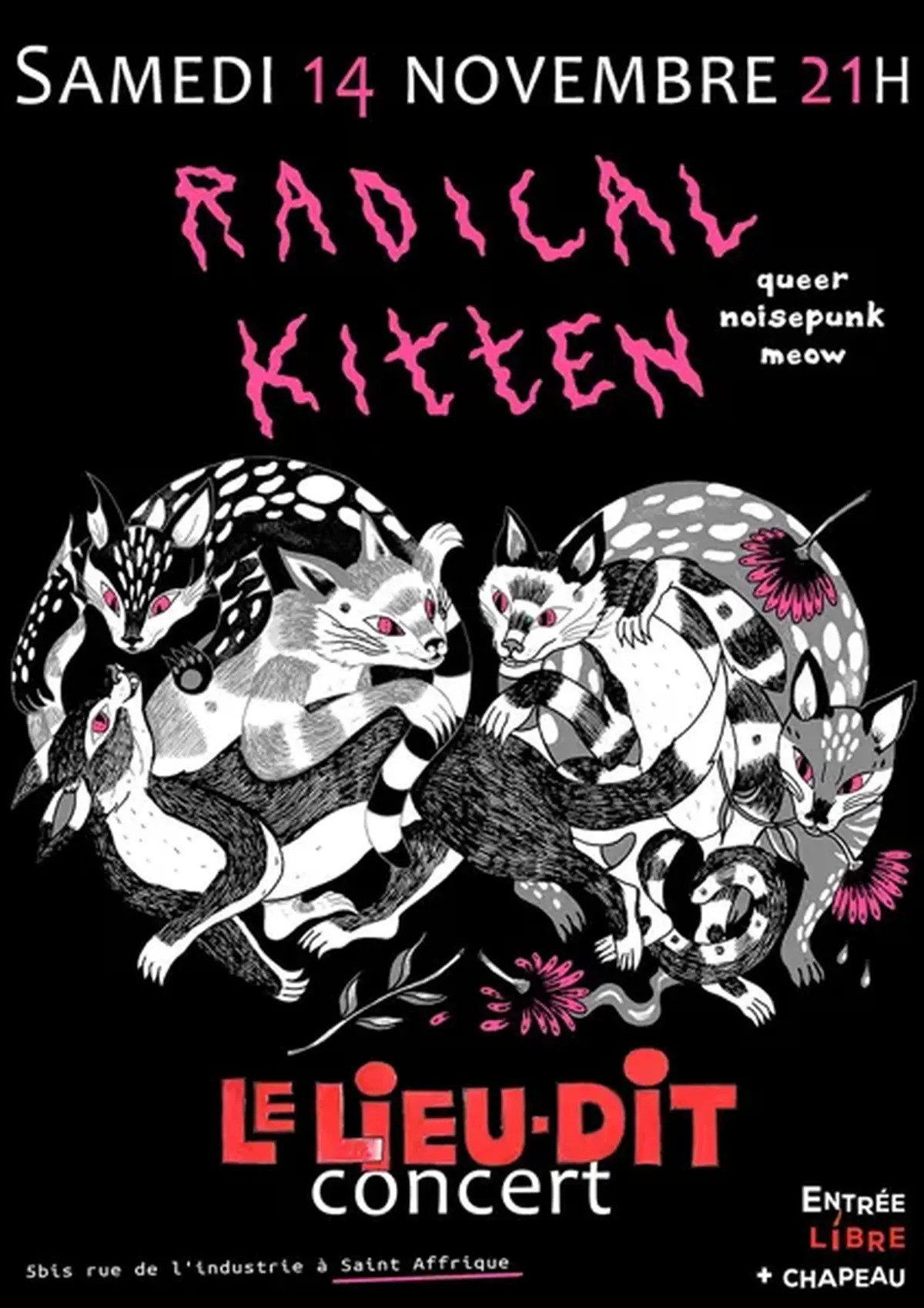 Concert : Radical Kitten débarque