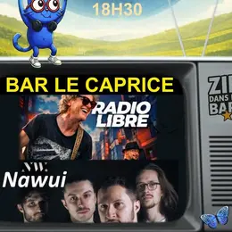 Concert Radio Libre Band