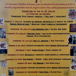 Concert Session Irlandaise