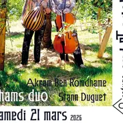 Concert - SHAMS Duo