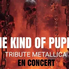 Concert : Skop