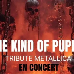 Concert : Skop