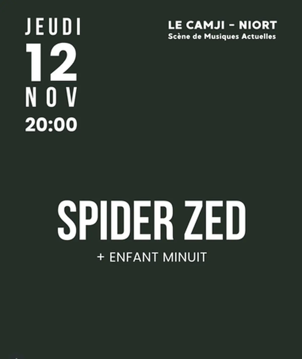 Concert - Spider-Zed et Enfant Minuit au Camji à Niort