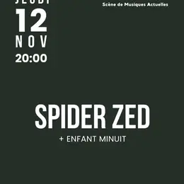 Concert - Spider-Zed et Enfant Minuit au Camji à Niort