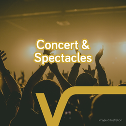 Concert Swing Jazz par Lise Cabaret et Sanseverino