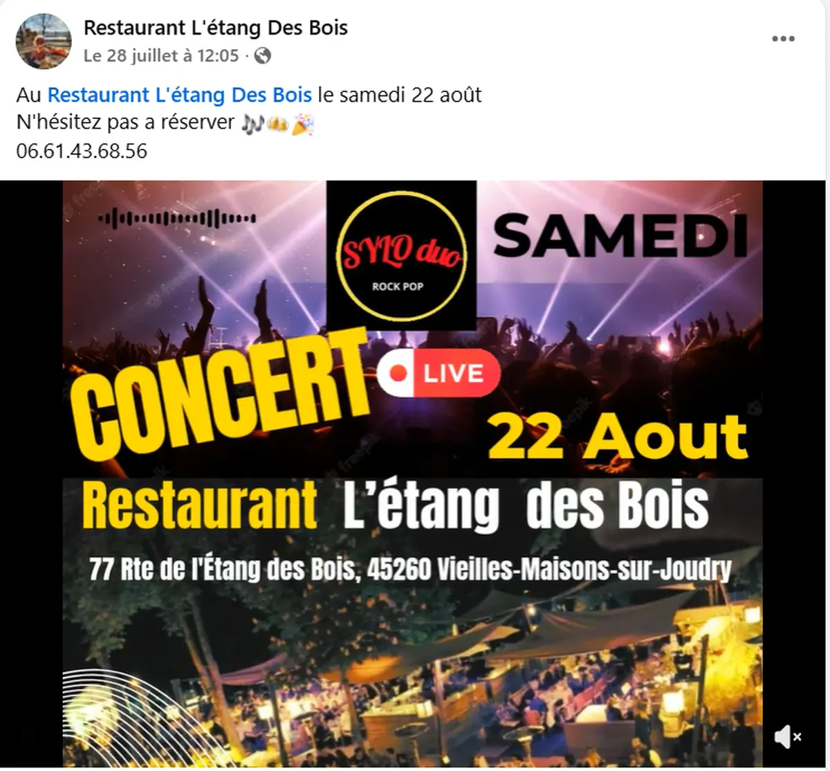Concert Sylo Duo (rock pop)