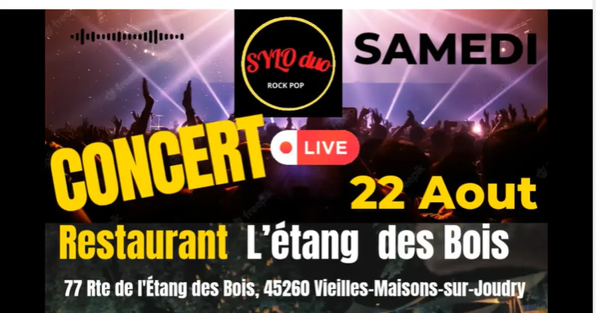 Concert Sylo Duo (rock pop)