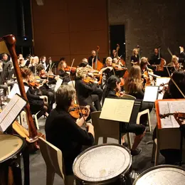 Concert Symphonique
