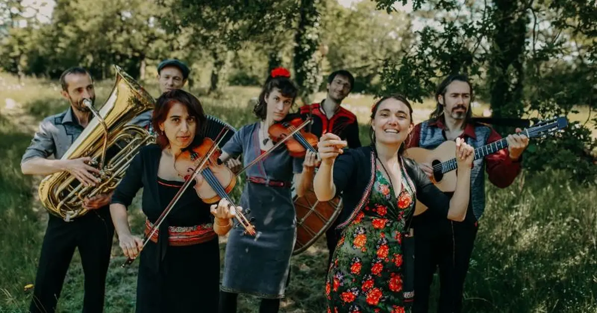 Concert - Tarafikants