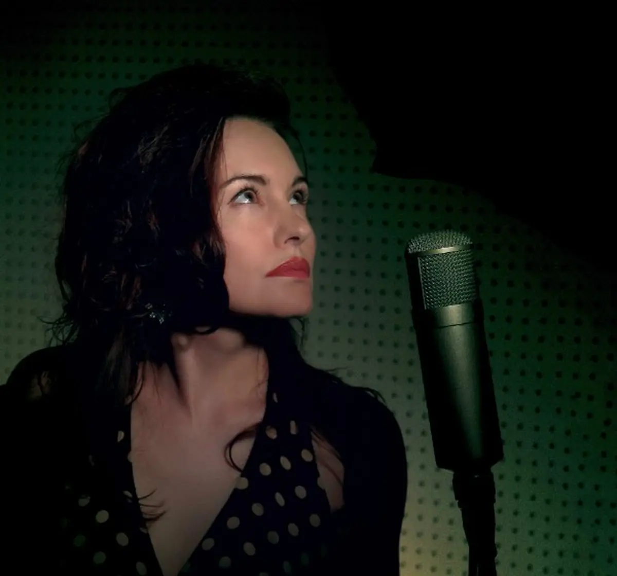 Concert The Hillbilly Moon Explosion