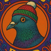 Concert | The Pigeon Sniffers