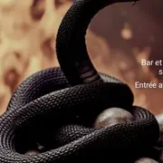 Concert : Tribute metallica