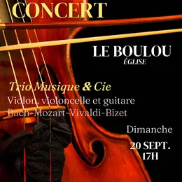 Concert Trio Musique & Cie