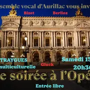 Concert Une Soirée à l'Opéra