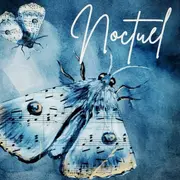 Concert vocal - noctuel