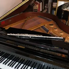 Concert - Voyage musical intemporel à Niort