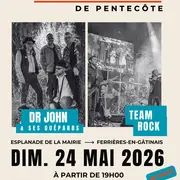 Concerts de la Pentecôte