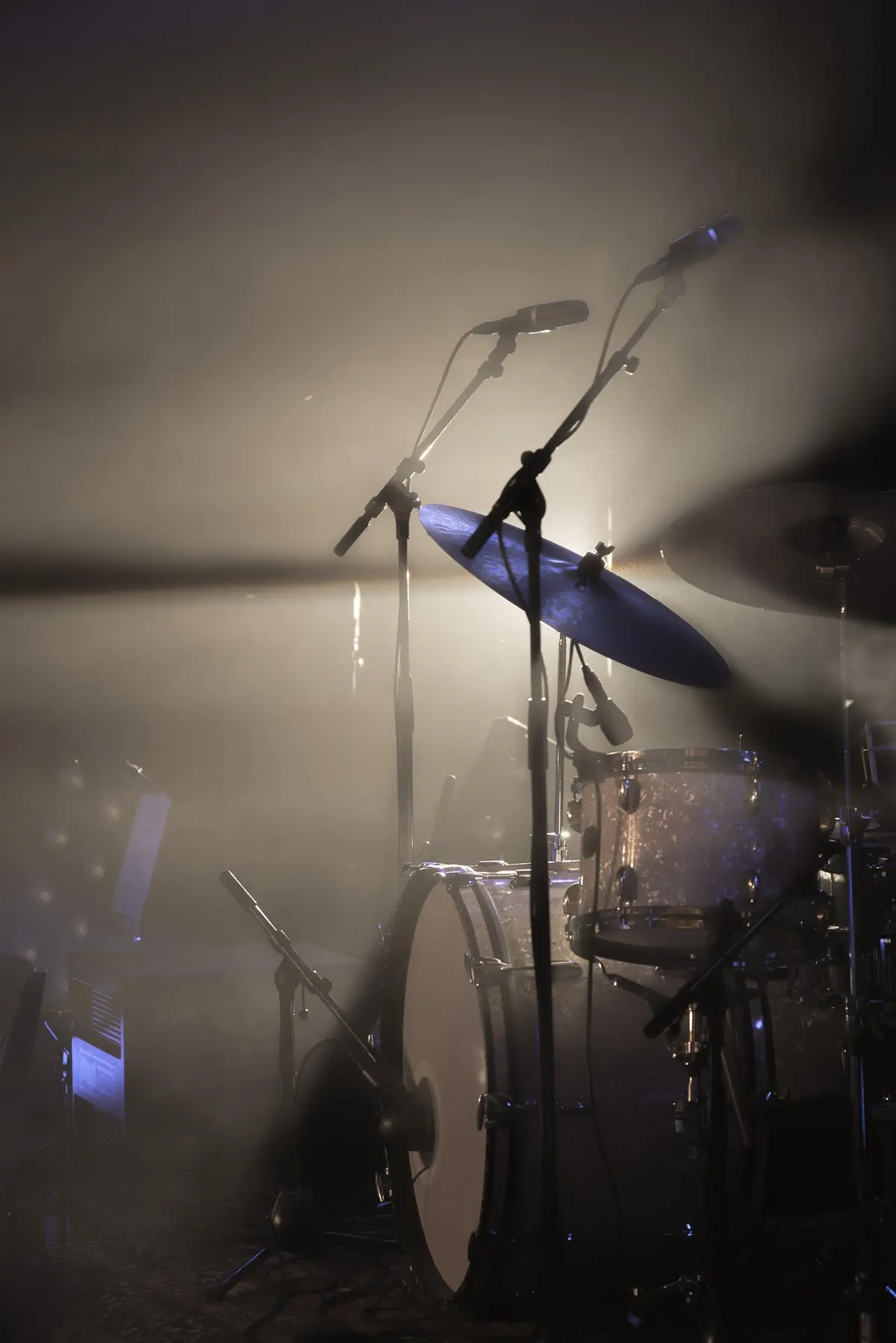 Concerts de Yogui et Bilou Nokemono