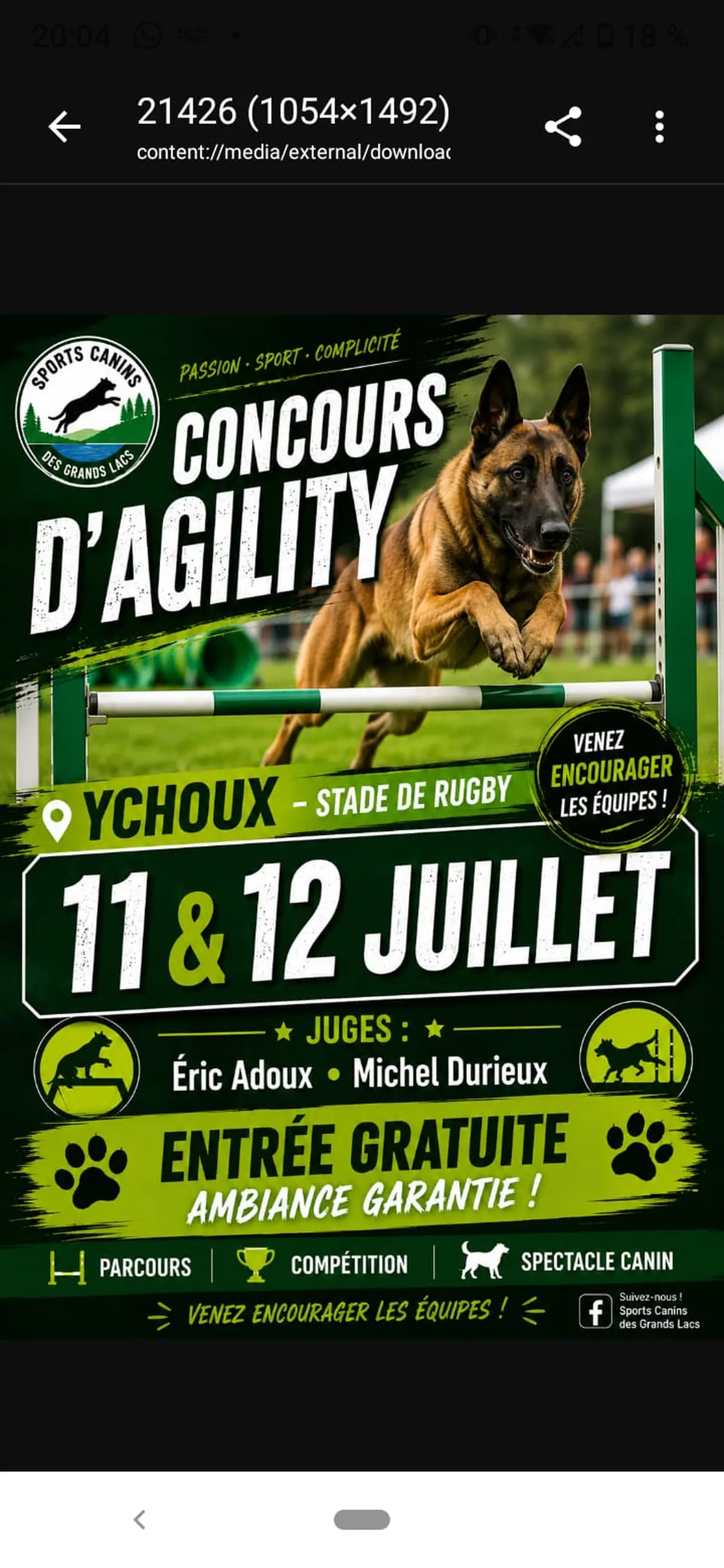 Concours agility dog