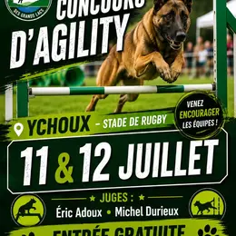Concours agility dog