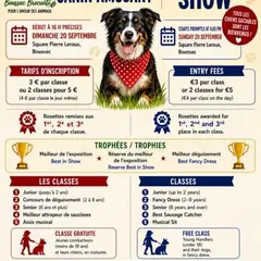 Concours canin amusant