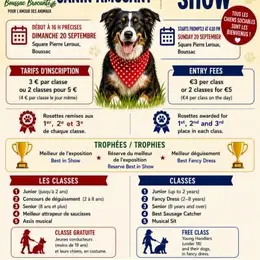 Concours canin amusant