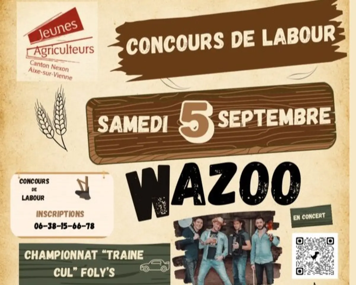 Concours cantonal de labour