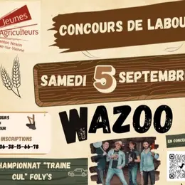 Concours cantonal de labour