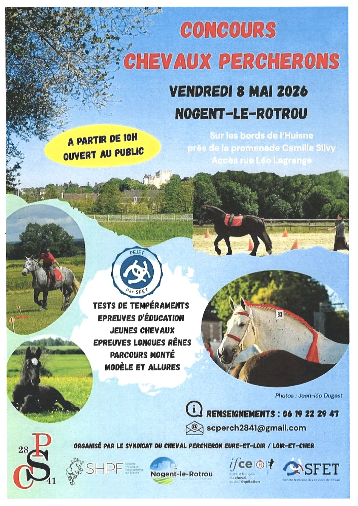 Concours chevaux Percherons