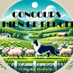 Concours chiens de berger / Artzain Xakur Txapelketa