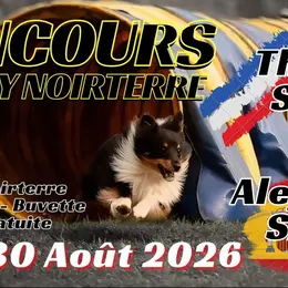 Concours d'agility