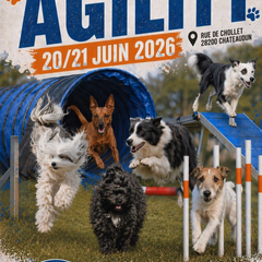 Concours d'Agility