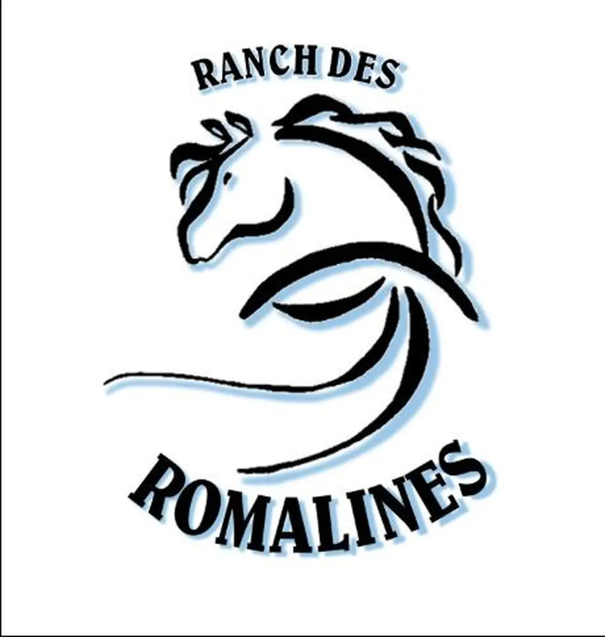 Concours d'attelage