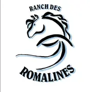 Concours d'attelage