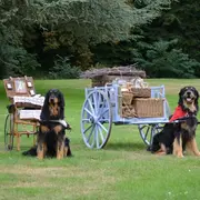 Concours d’attelages canins au Château de Villesavin