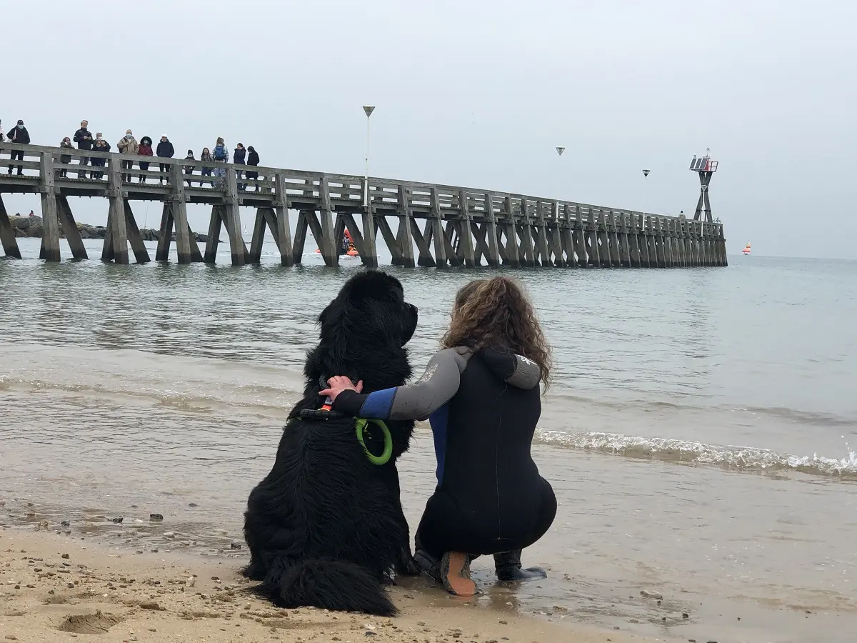 Concours de chien de sauvetage à l'eau
