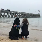 Concours de chien de sauvetage à l'eau