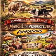 Concours de chien de troupeau