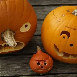 Concours De Citrouilles Décorées