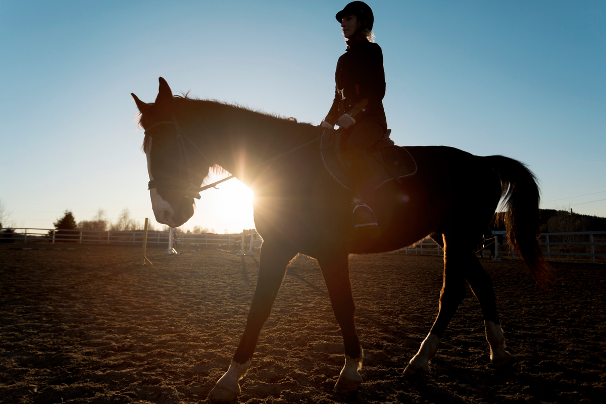 Concours de CSO
