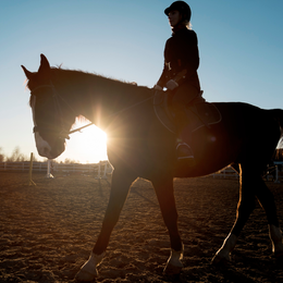 Concours de CSO