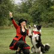 Concours de dog dancing